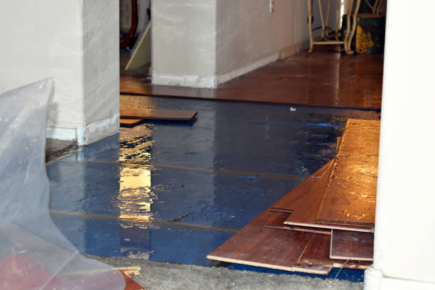 Professional Water Damage Restoration technician working in Bolivar, TN